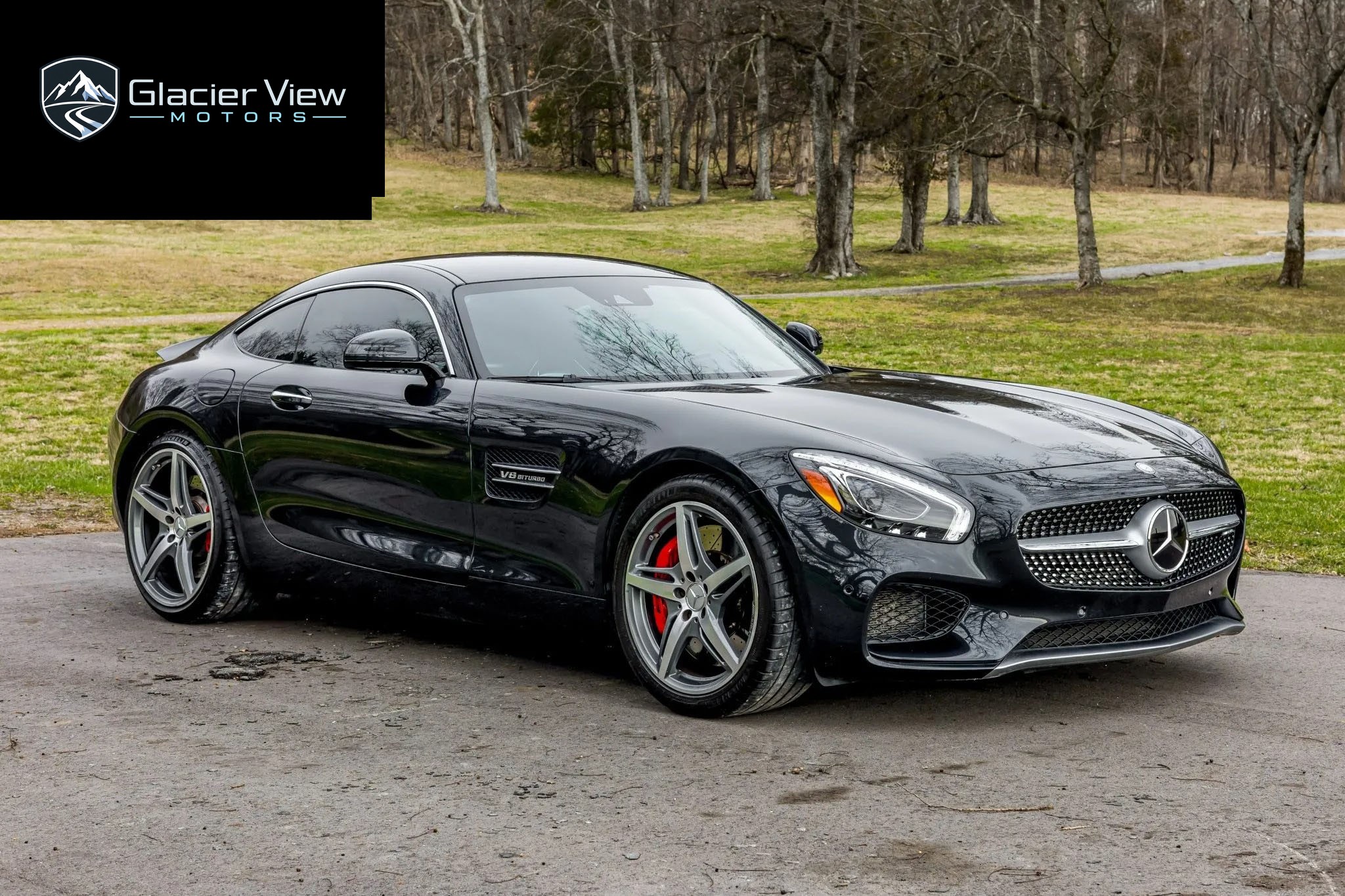2016 Mercedes-Benz AMG GT S photo 2