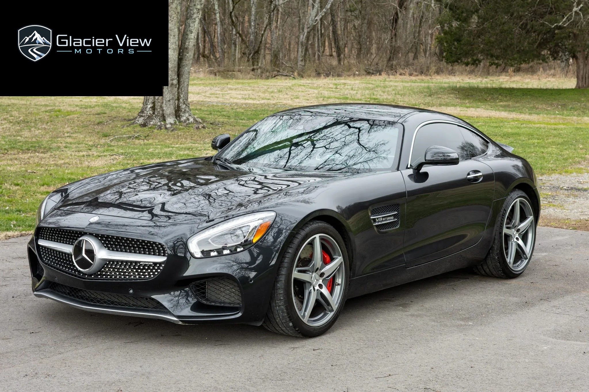 2016 Mercedes-Benz AMG GT S photo 8