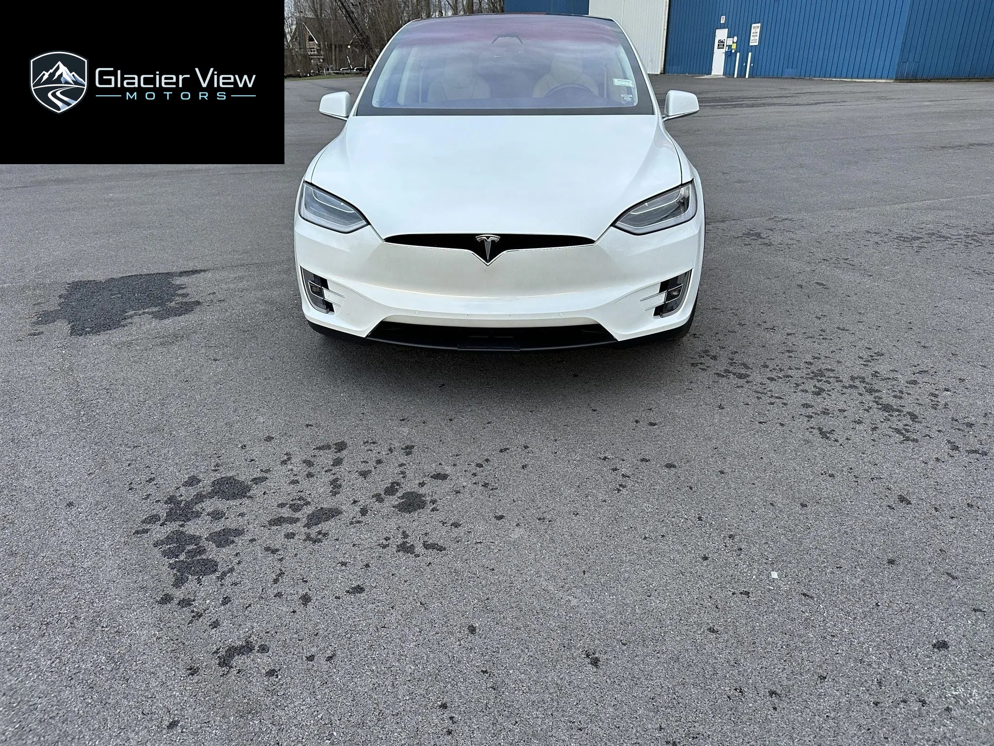 2017 Tesla Model X 100D photo 1