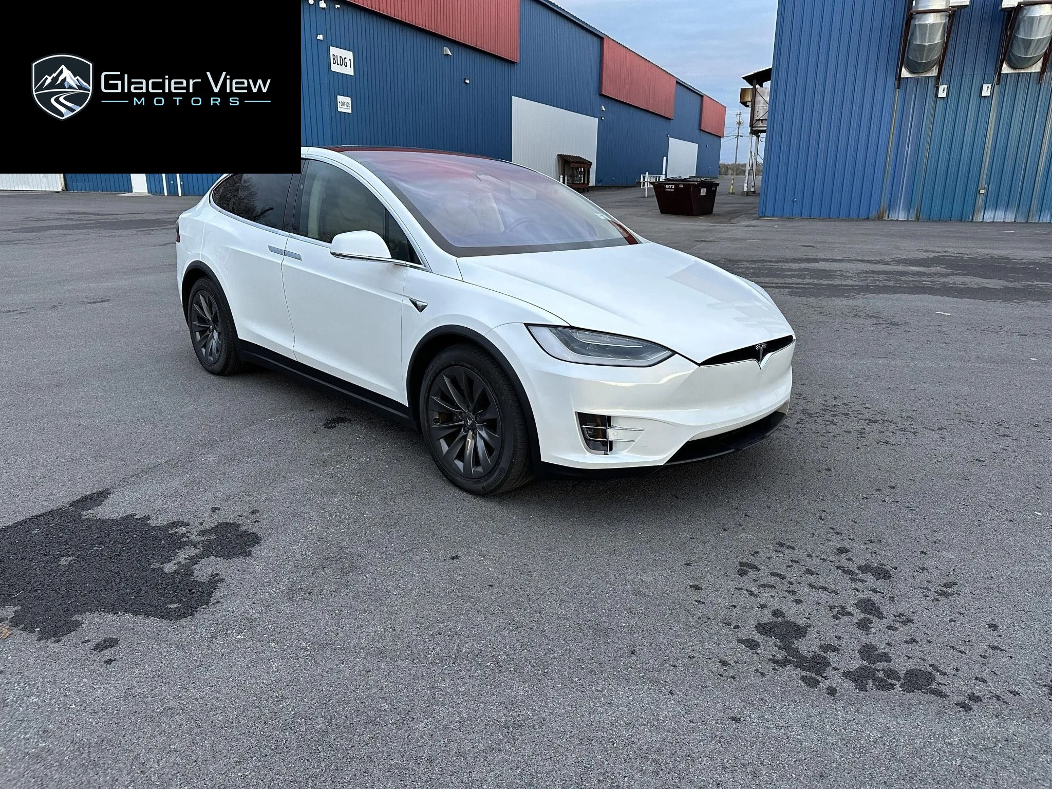 2017 Tesla Model X 100D photo 2