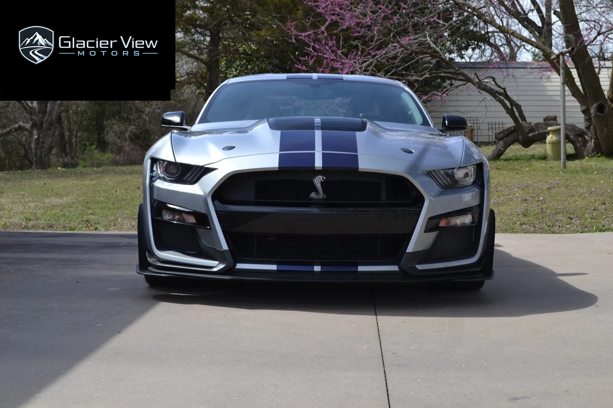 2021 Ford Mustang Shelby GT500 photo 1