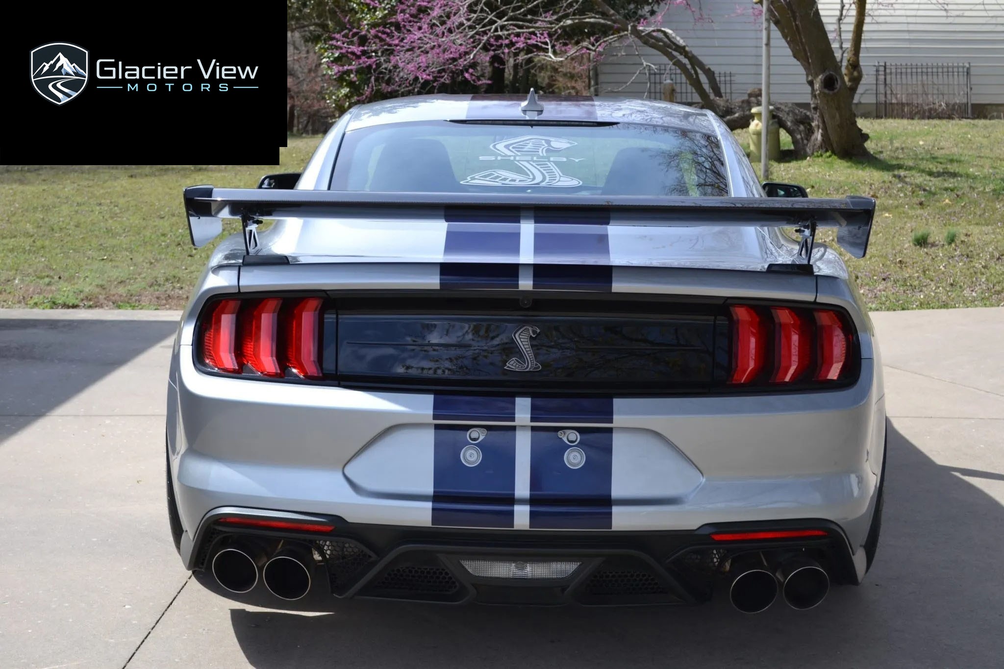 2021 Ford Mustang Shelby GT500 photo 5