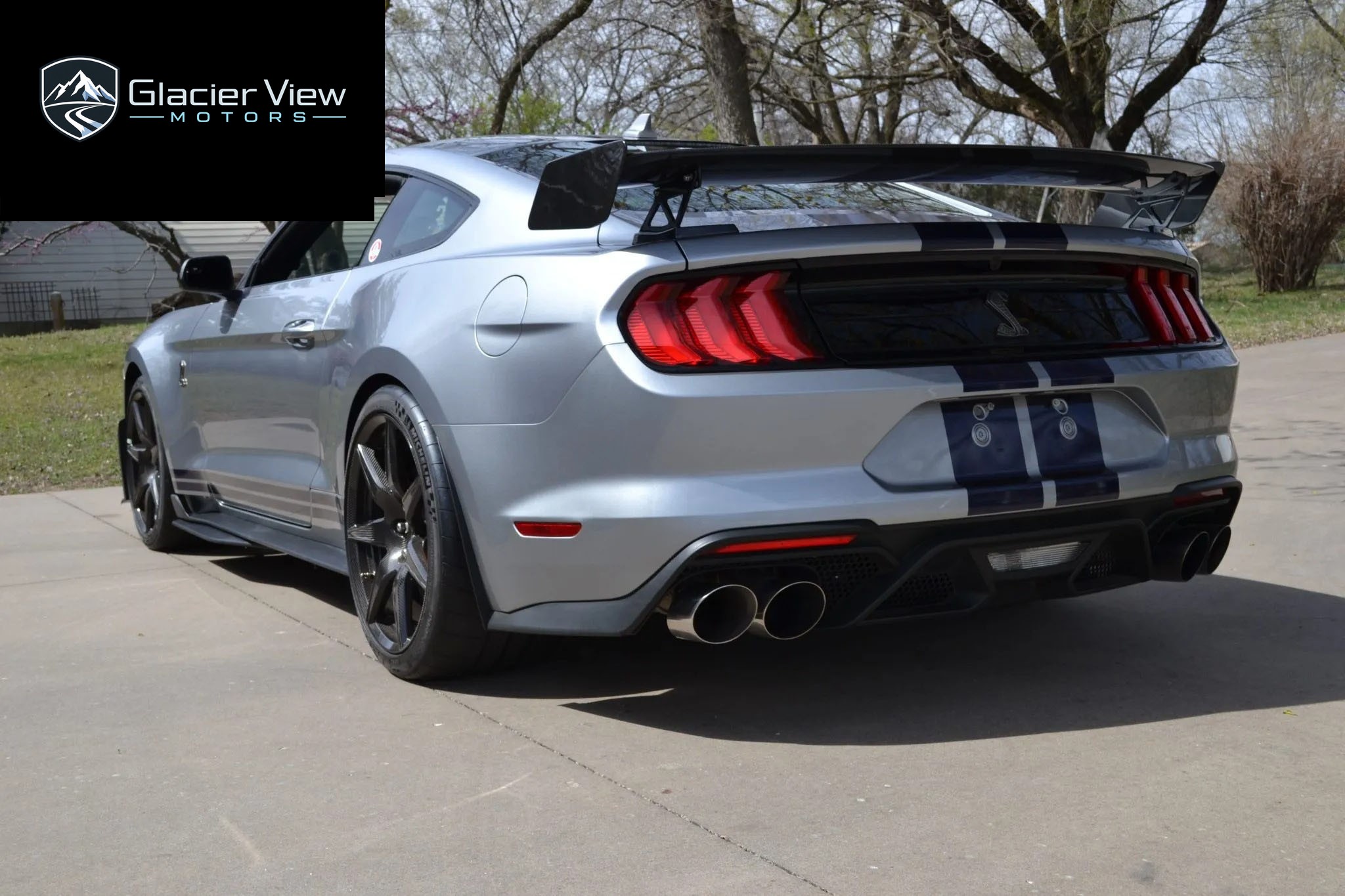 2021 Ford Mustang Shelby GT500 photo 6