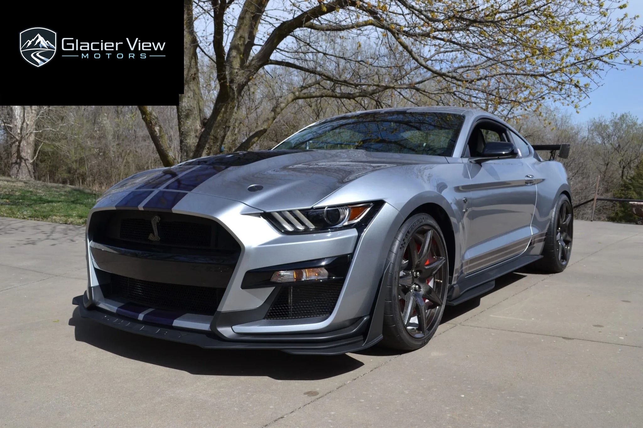 2021 Ford Mustang Shelby GT500 photo 8